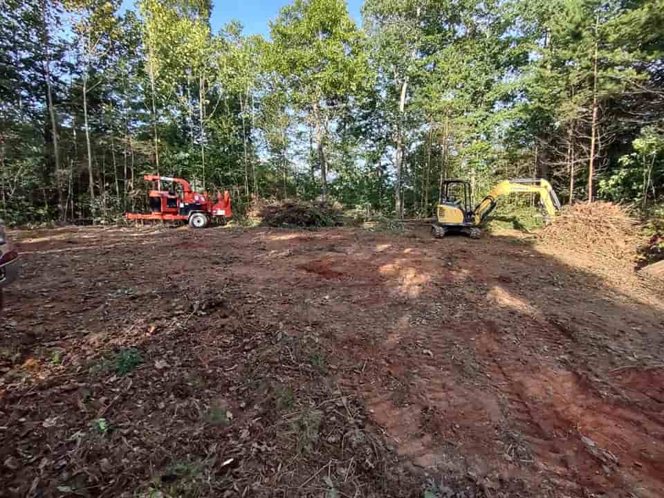Lot & Land Clearing
