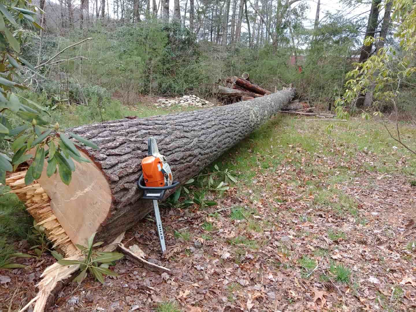 Foggy Mtn. Tree & Land at work